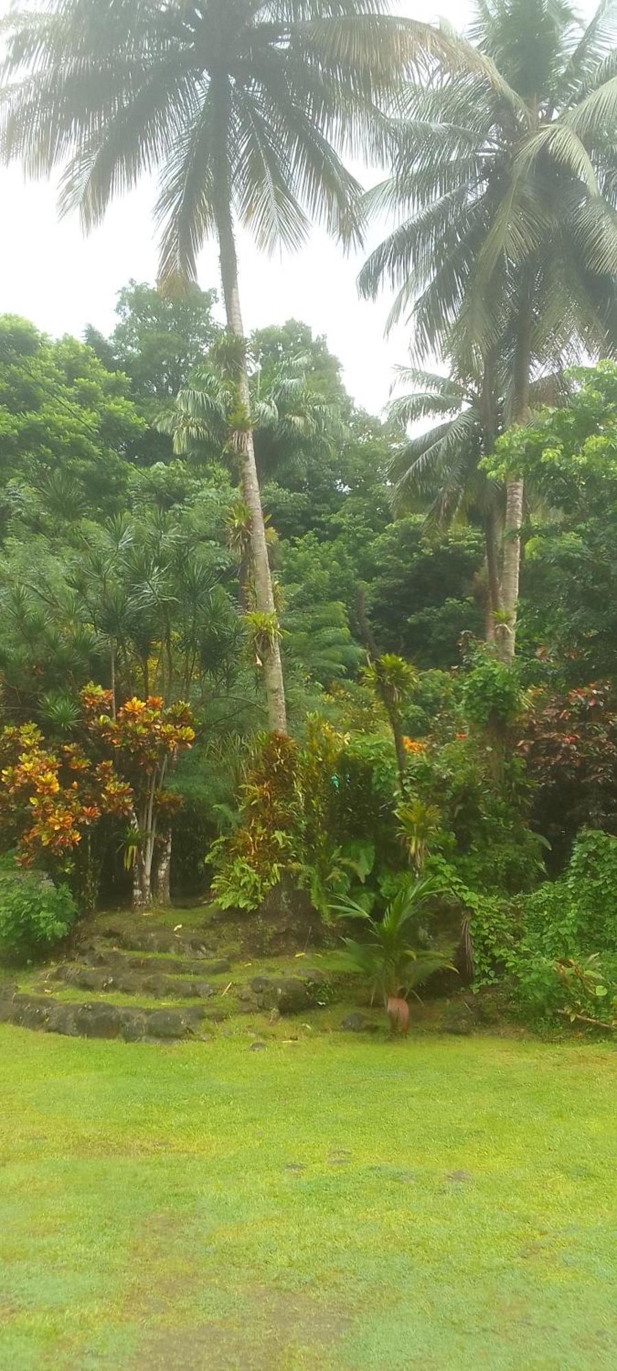 רוזו Natty Tropical Valley מראה חיצוני תמונה
