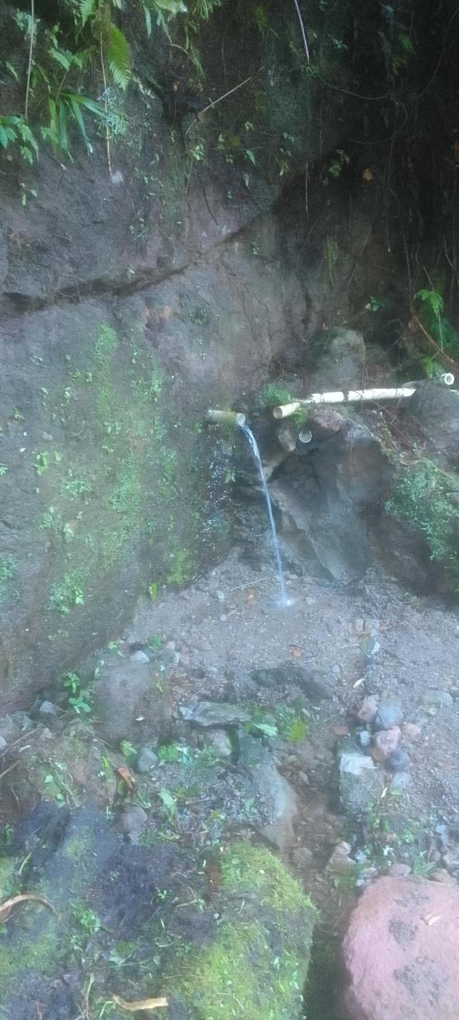 רוזו Natty Tropical Valley מראה חיצוני תמונה